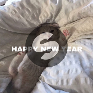 Cheap Thrills DJ (Remix)