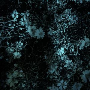 Omfamnad före avrättning