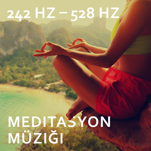 243 Hz Hayatın Evreleri