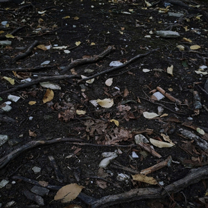 Закончи альбом под это