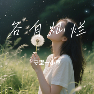 各自灿烂