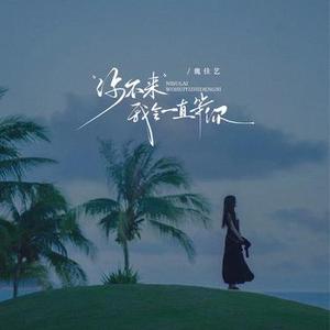 你不来我会一直等你