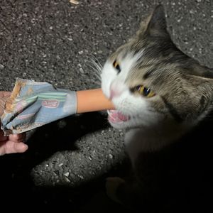 流星雨