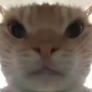 又堵了一天（乌鲁鲁金曲）