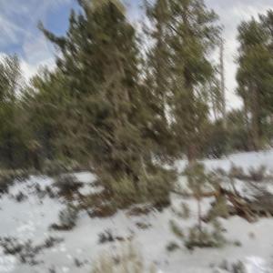 Lately (feat. Cboy1)