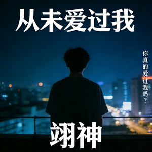 从未爱过我