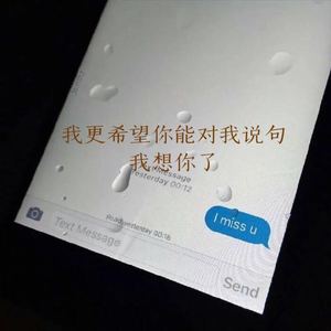 一本上了锁的老日记