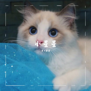 《楼下风往哪吹》（翻自 要不要买菜）