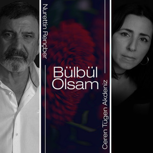 Bülbül Olsam