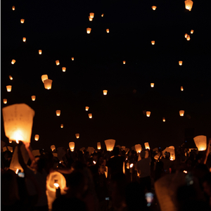 Whispering Grasslands