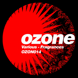 Through The Looking Glass (Emerald City Remix)