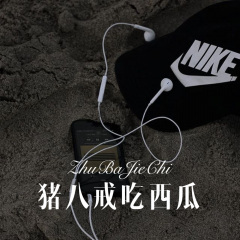 猪八戒吃西瓜 (DJ版)