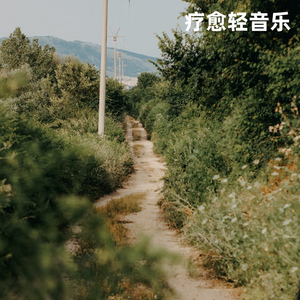 风语丨疗愈手碟纯音