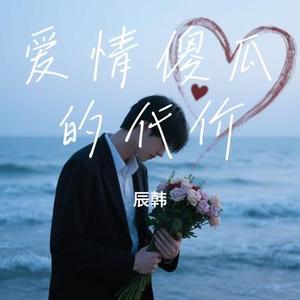 爱情傻瓜的代价