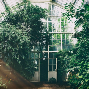 岑静の世界 (原始版)