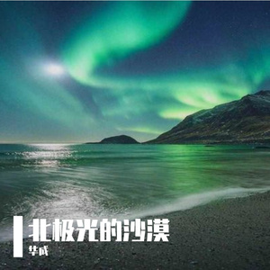 北极光与沙漠的风