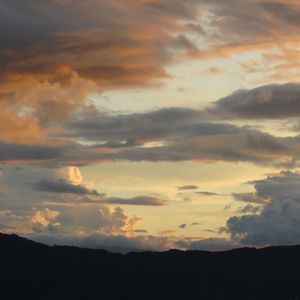 沙漠骆驼(片段)