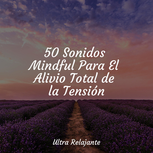 Niebla De Enfriamiento