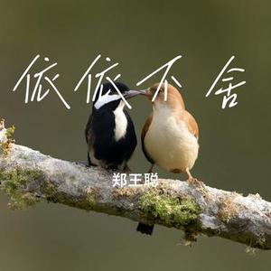 依依不舍