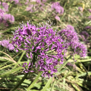 藏在备忘录里的人