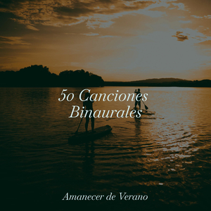 Oasis Melódico Encontrando Tranquilidad