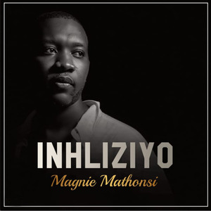 Inhliziyo