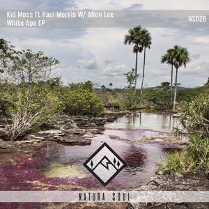 White Ape (Original Mix)