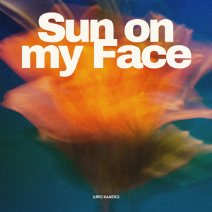 Sun on my Face