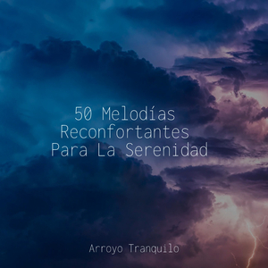 Momentos De Tranquilidad