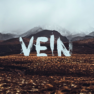 Vein (Prod. by Leraiie)