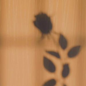 她是造物狂难辞其咎的败笔