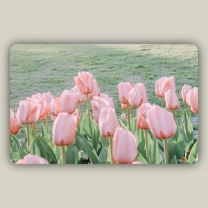 爱就一个字（Cover张信哲）