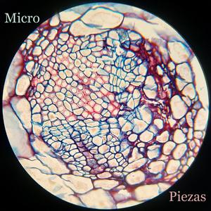 Microscopio