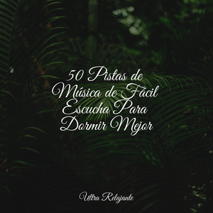 Iluminaciones Instrumentales