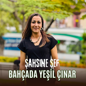 Bahçada Yeşil Çınar