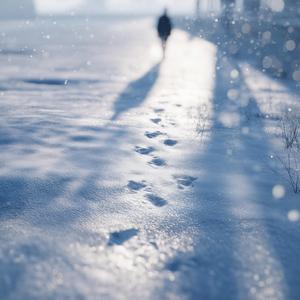 Snow Shadow