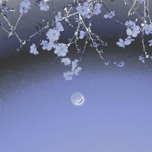 春江花月夜-孟菲斯 Type Beat