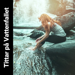 30 Beautiful Nature Sounds, Pt. 30