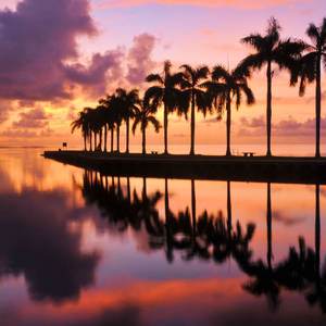 把心脏分给你一半