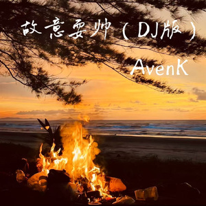 故意耍帅（DJ版）