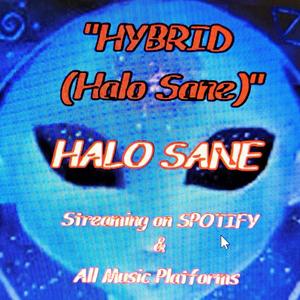 HYBRID (Halo Sane)