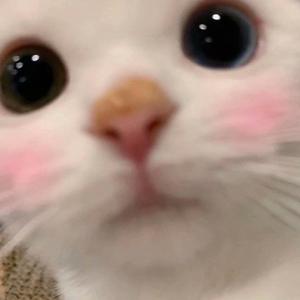 夜半