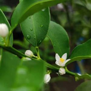 岁月更替人未老