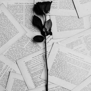 Light Filled Afternoon