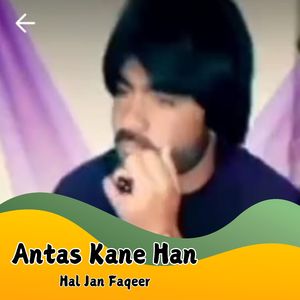 Antas Kane Han