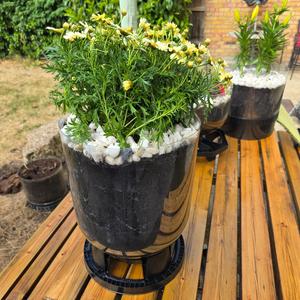 I Fallen Down On Hard Ground