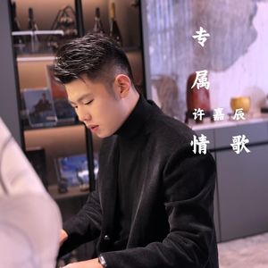 专属情歌 许嘉辰