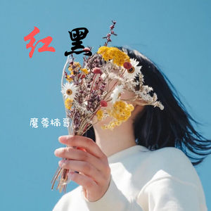 世界再无人像你