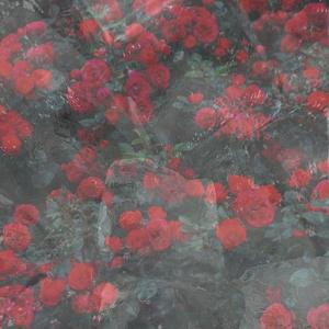 riskyyyyy prod by wazier