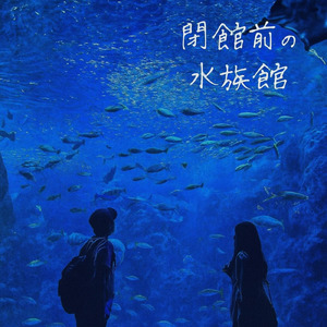 閉館前の水族館